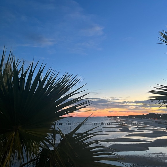 Meet your Posher, Mia - Picture 1 of 1